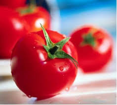 فوائد الطماطم فوائد الطماطم