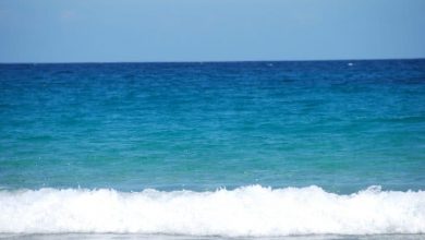 تفسير البحر في الحلم 19 تفسير البحر في الحلم