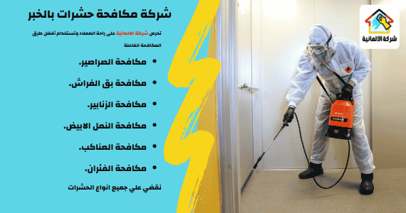 أفضل شركة مكافحة حشرات بالدمام أفضل شركة مكافحة حشرات بالدمام